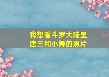 我想看斗罗大陆里唐三和小舞的照片