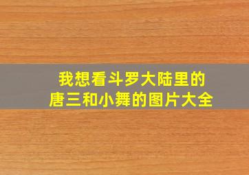 我想看斗罗大陆里的唐三和小舞的图片大全