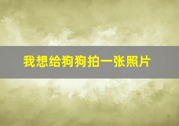 我想给狗狗拍一张照片