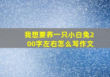 我想要养一只小白兔200字左右怎么写作文