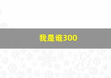 我是谁300