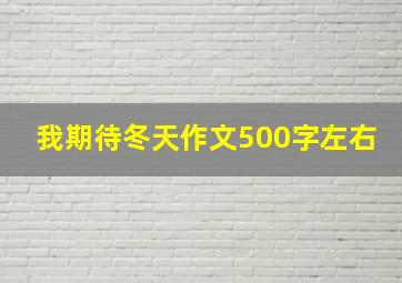 我期待冬天作文500字左右