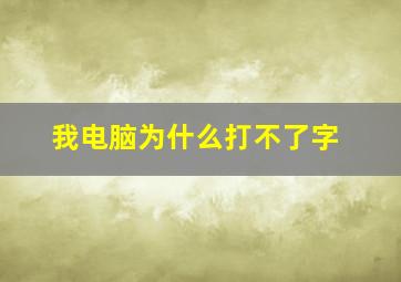 我电脑为什么打不了字