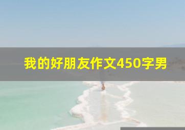 我的好朋友作文450字男