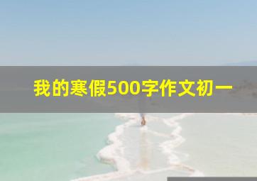 我的寒假500字作文初一