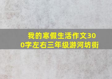 我的寒假生活作文300字左右三年级游河坊街