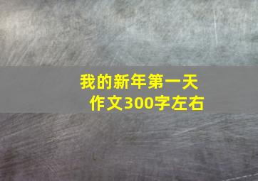 我的新年第一天作文300字左右