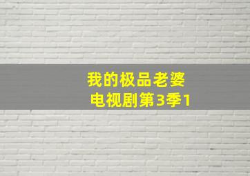 我的极品老婆电视剧第3季1