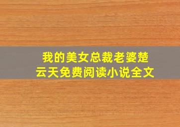 我的美女总裁老婆楚云天免费阅读小说全文