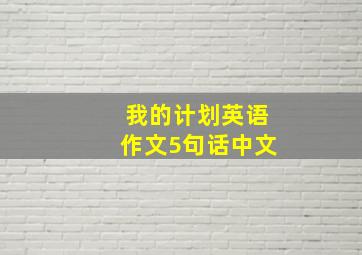 我的计划英语作文5句话中文