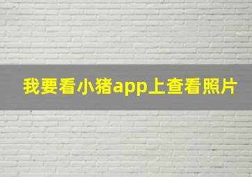 我要看小猪app上查看照片