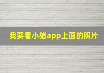 我要看小猪app上面的照片