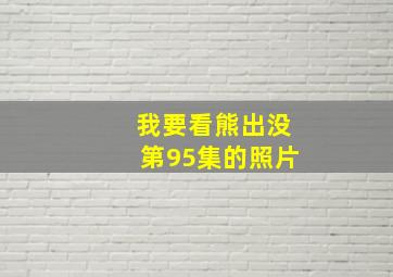 我要看熊出没第95集的照片