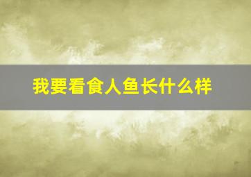 我要看食人鱼长什么样