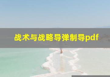 战术与战略导弹制导pdf