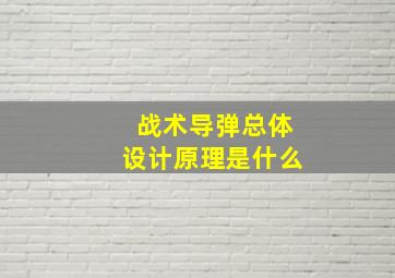 战术导弹总体设计原理是什么