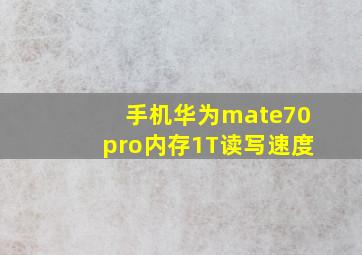 手机华为mate70pro内存1T读写速度