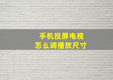 手机投屏电视怎么调播放尺寸