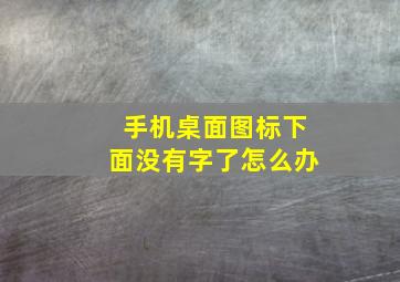 手机桌面图标下面没有字了怎么办