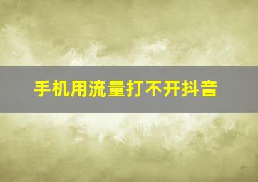 手机用流量打不开抖音