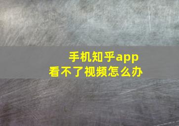 手机知乎app看不了视频怎么办