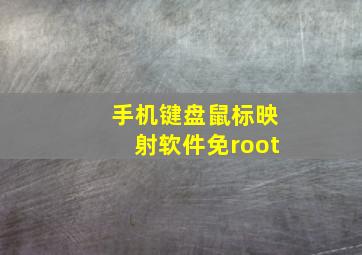 手机键盘鼠标映射软件免root