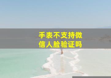 手表不支持微信人脸验证吗