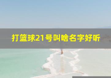 打篮球21号叫啥名字好听