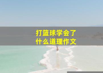 打篮球学会了什么道理作文