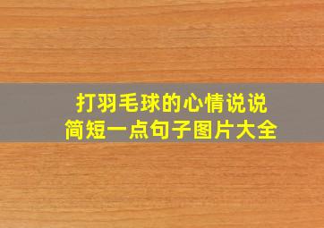 打羽毛球的心情说说简短一点句子图片大全