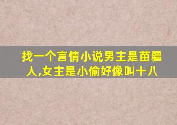 找一个言情小说男主是苗疆人,女主是小偷好像叫十八