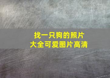 找一只狗的照片大全可爱图片高清