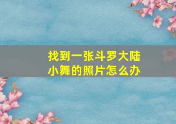 找到一张斗罗大陆小舞的照片怎么办