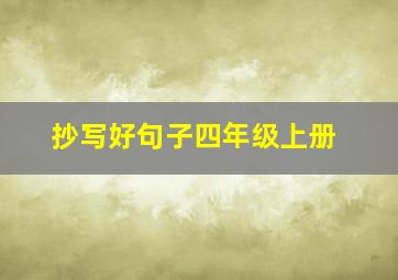 抄写好句子四年级上册