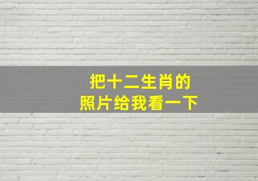 把十二生肖的照片给我看一下