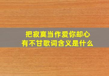 把寂寞当作爱你却心有不甘歌词含义是什么