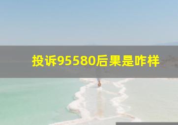 投诉95580后果是咋样