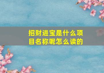 招财进宝是什么项目名称呢怎么读的