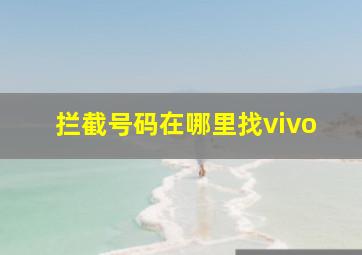 拦截号码在哪里找vivo