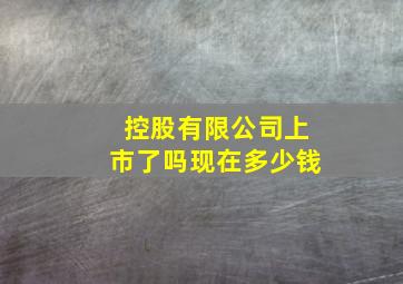 控股有限公司上市了吗现在多少钱