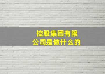 控股集团有限公司是做什么的