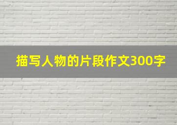 描写人物的片段作文300字