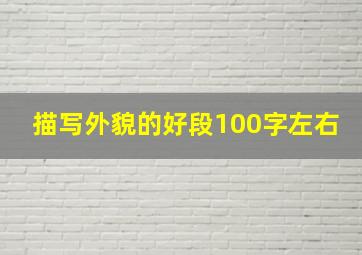 描写外貌的好段100字左右