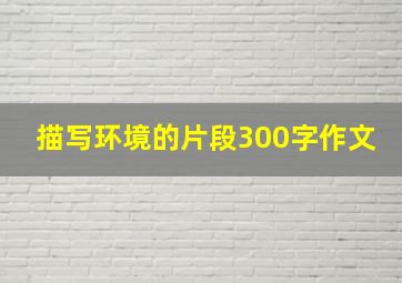 描写环境的片段300字作文