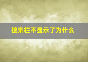 搜索栏不显示了为什么