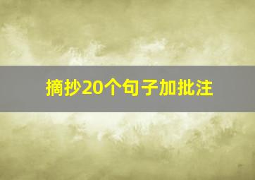 摘抄20个句子加批注