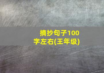 摘抄句子100字左右(王年级)