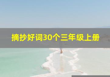 摘抄好词30个三年级上册