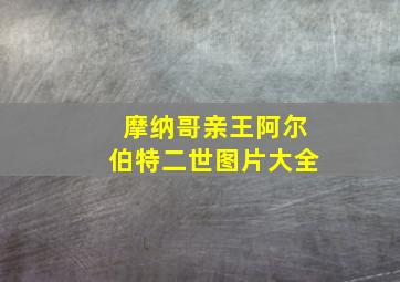 摩纳哥亲王阿尔伯特二世图片大全