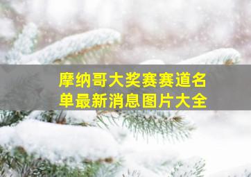 摩纳哥大奖赛赛道名单最新消息图片大全